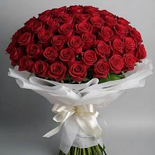 Букет 101 Красная роза Блэк Мэджик в Рощино Челябинская область