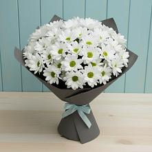 Букет цветов из:  Хризантемы #REPLACE_PRED# Рощино Челябинская область