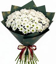 Букет цветов из:  Хризантемы в Рощино Челябинская область