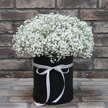 Цветочная композиция из Гипсофила в шляпной коробке #REPLACE_PRED# Рощино Челябинская область