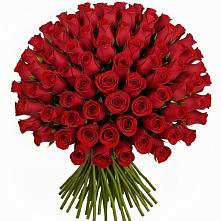 Букет Красные розы Чери Лав #REPLACE_PRED# Рощино Челябинская область