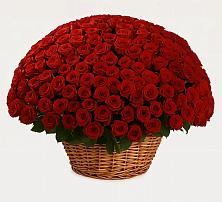 Премиум букет из: Розы в Рощино Челябинская область