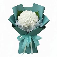 Букет цветов из:  Гортензия в Рощино Челябинская область